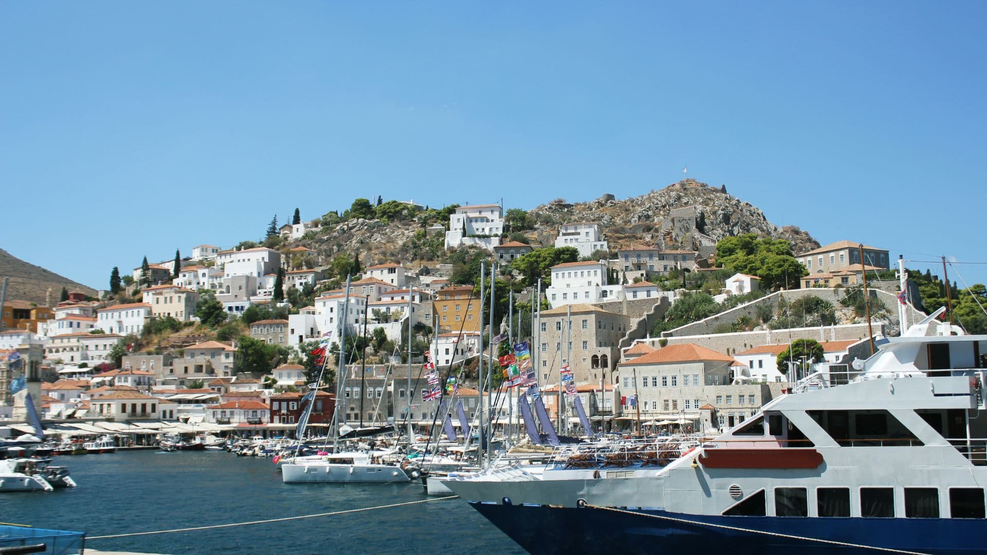 Hydra